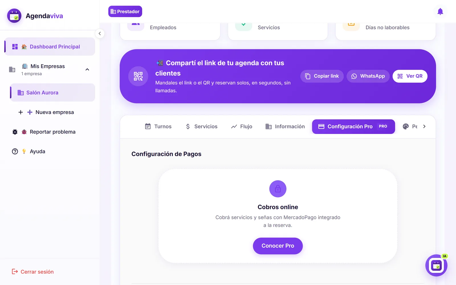 Pestaña Configuración Pro con las funciones bloqueadas