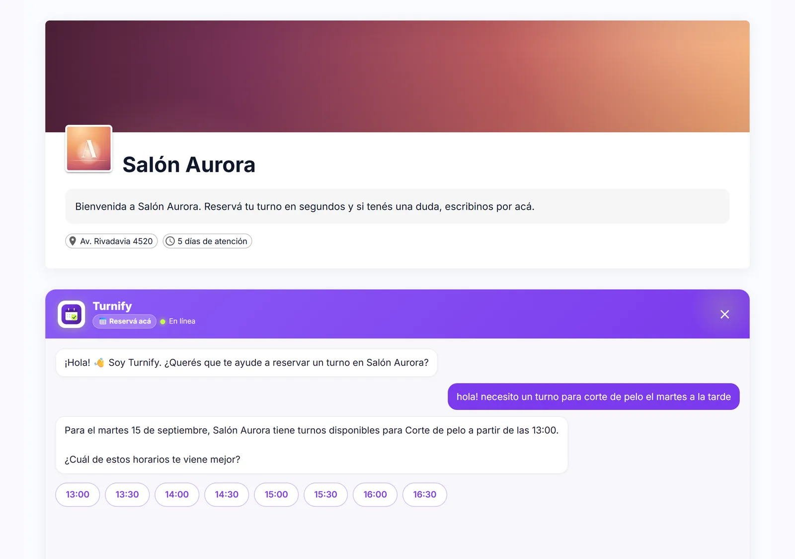 Conversación con Turnify mostrando los horarios libres del martes a la tarde